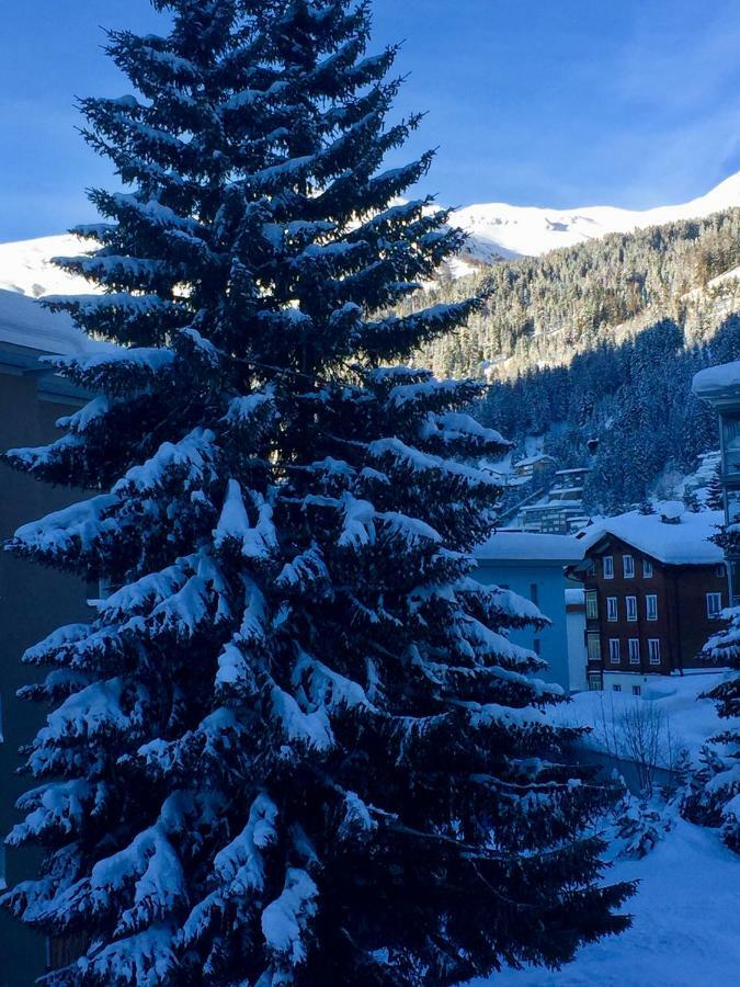 Studio Riedwiese Davos Eksteriør bilde